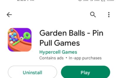 Garden Balls – Pin Pull Game android yang keren